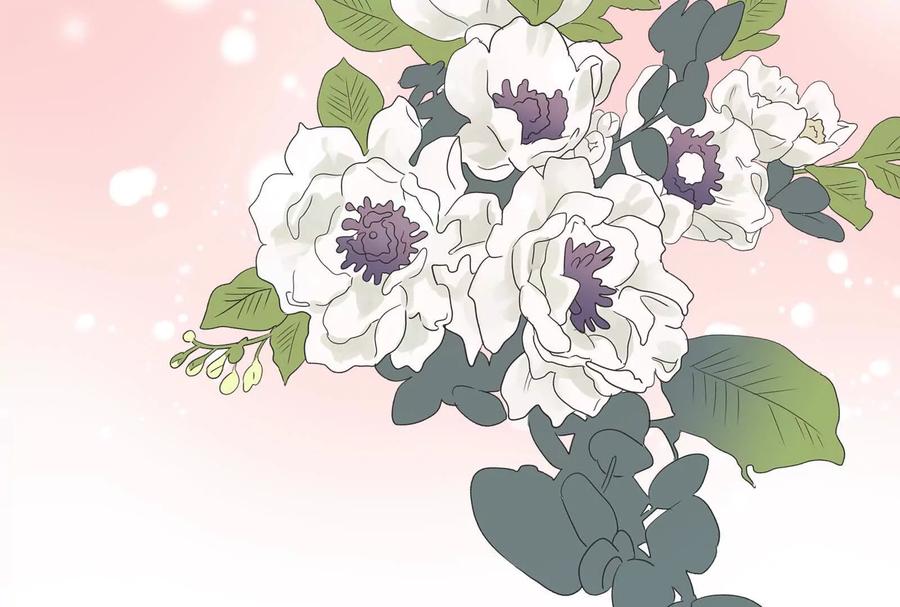 第224页