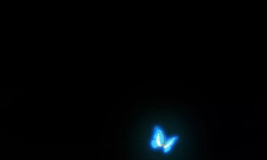 第144页