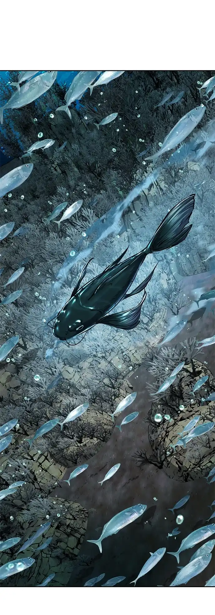 第335页