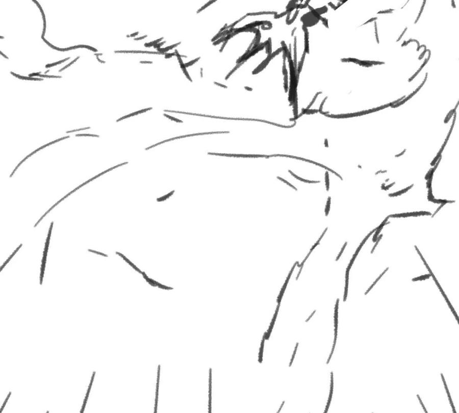 第62页