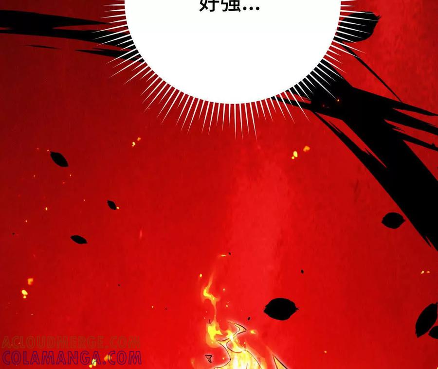 第205页