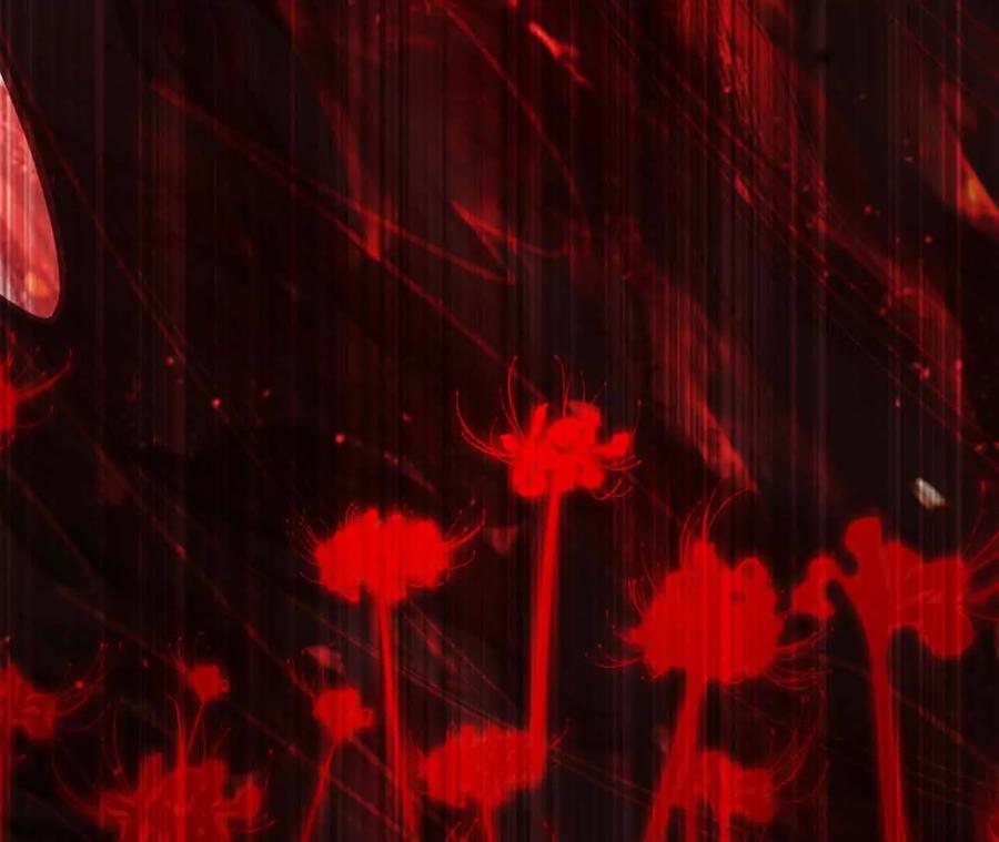 第223页