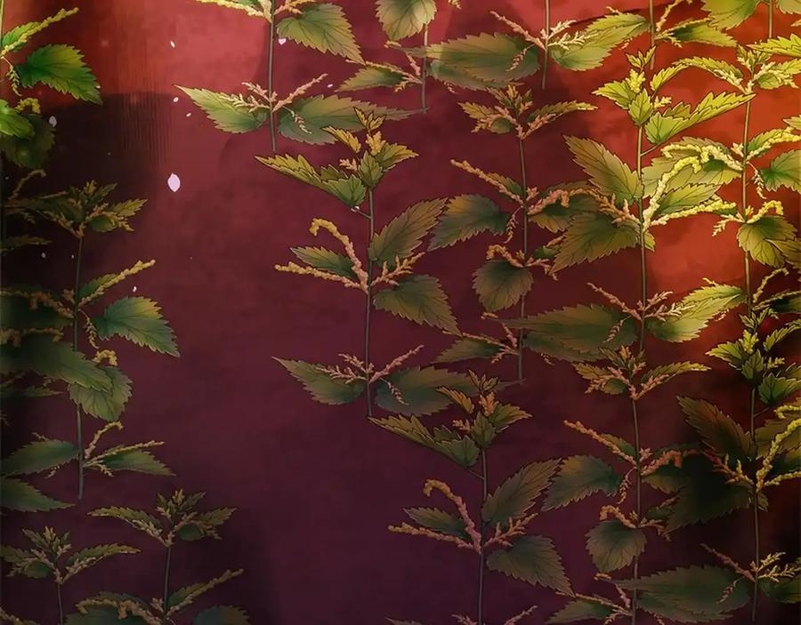 第206页