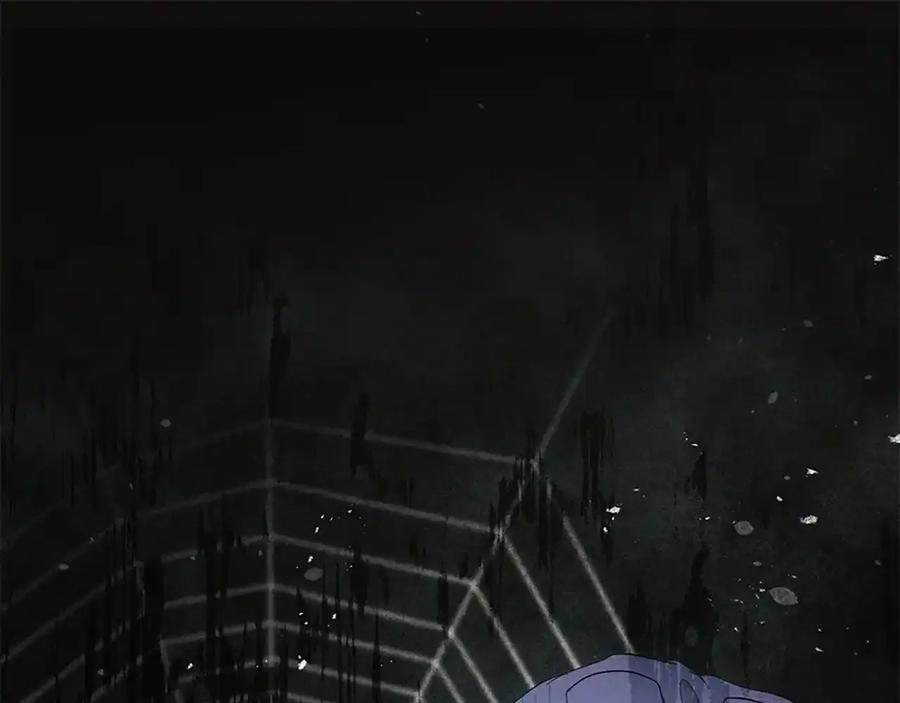 第247页