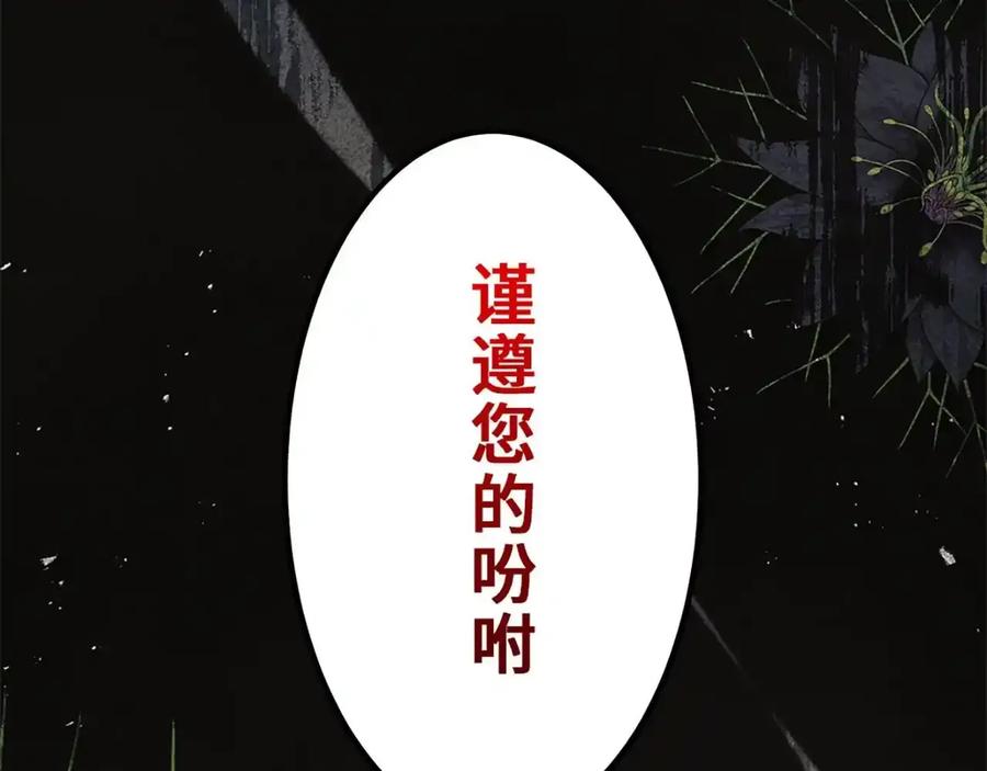 第251页