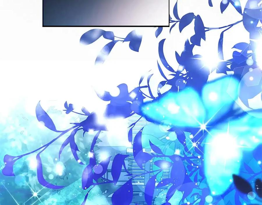 第223页