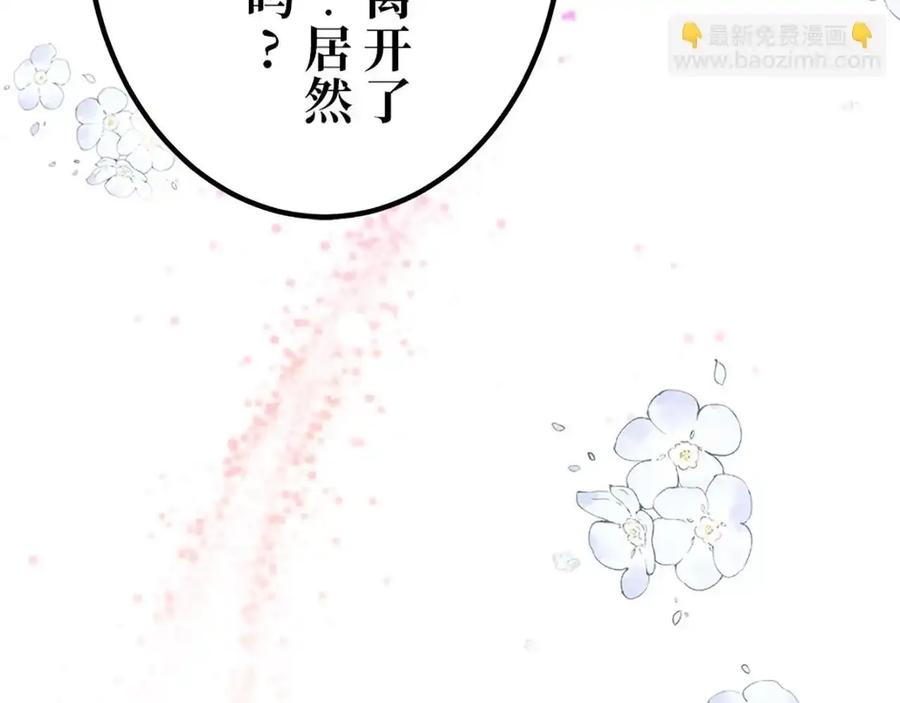 第243页