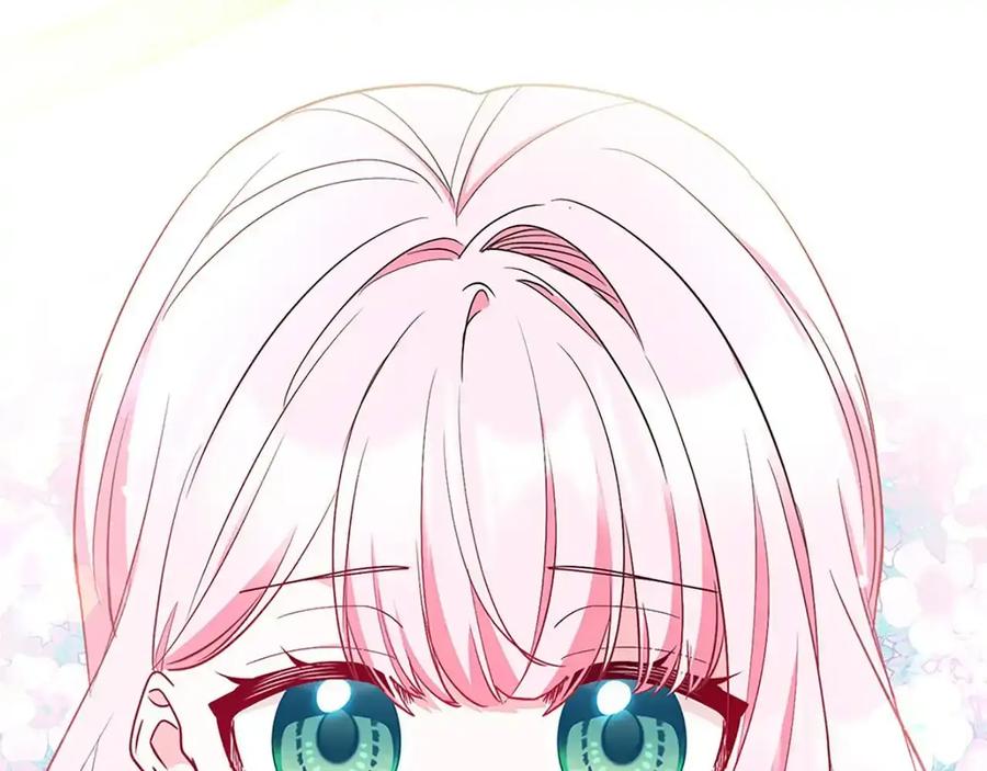 第242页