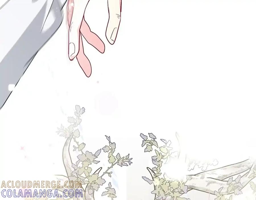 第229页