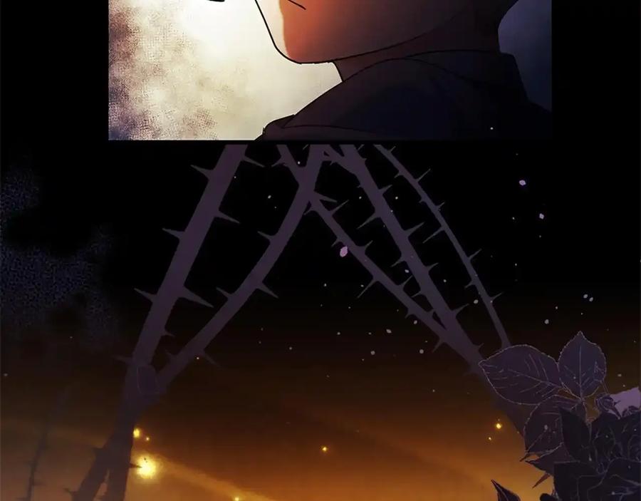 第244页