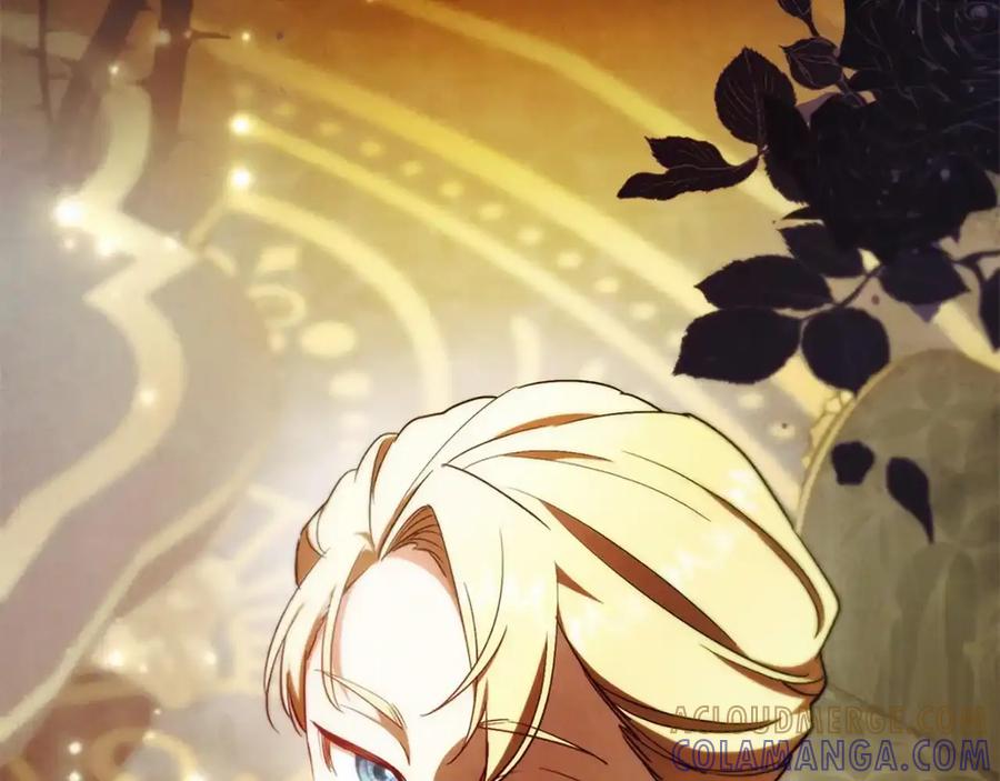 第245页