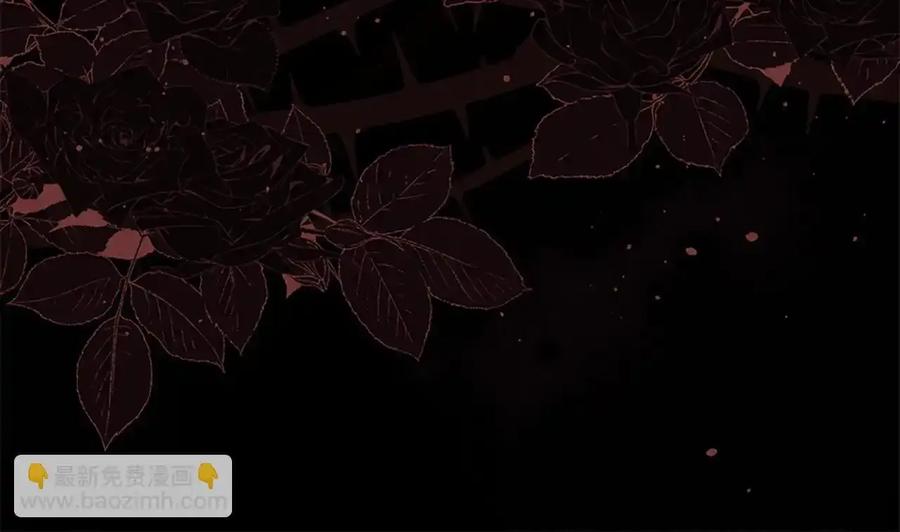 第248页