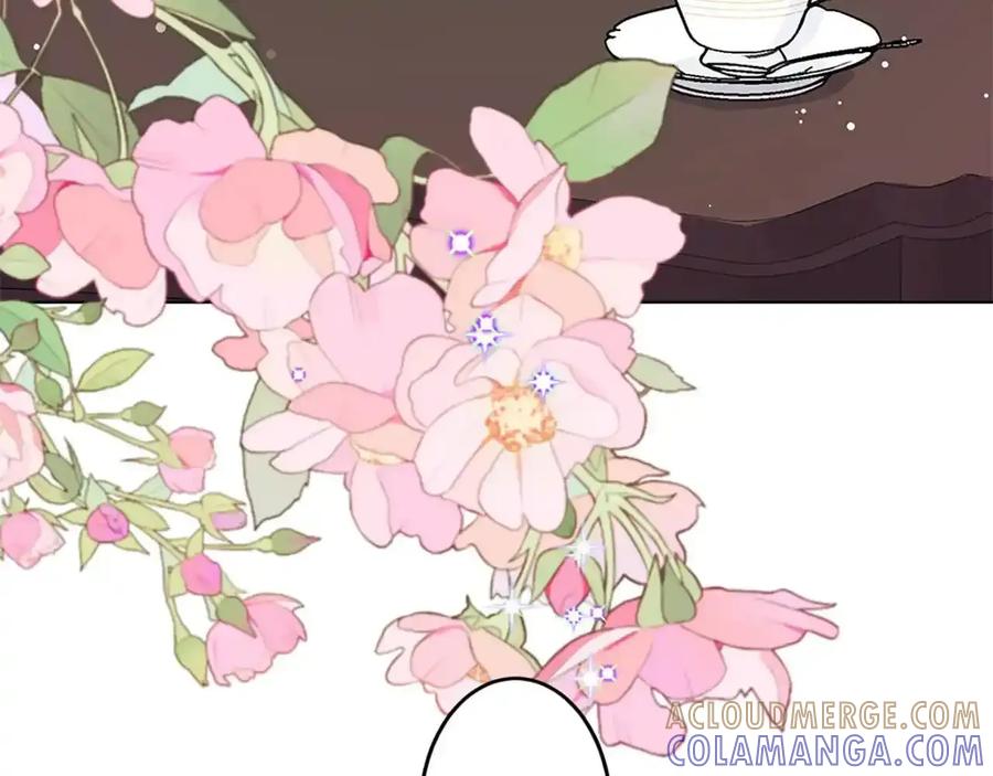 第205页