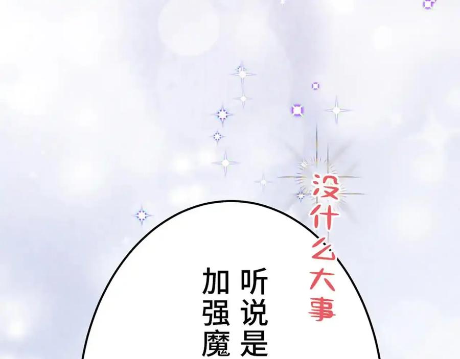 第223页