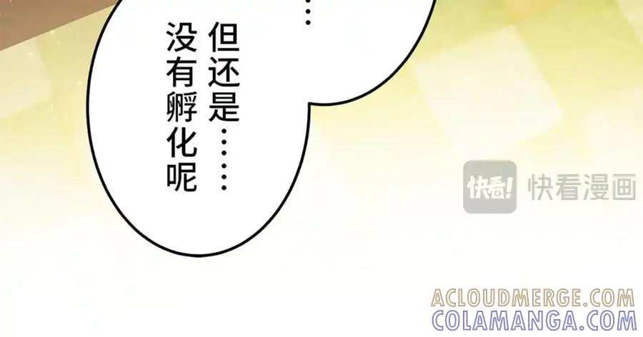 第217页