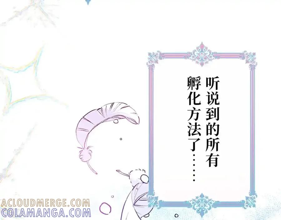 第221页