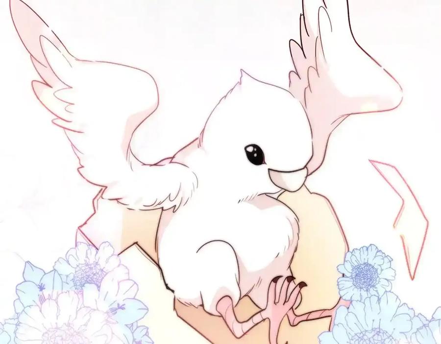 第242页