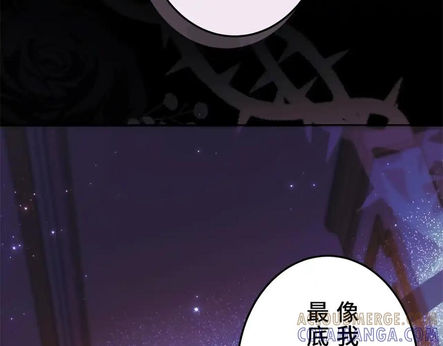 第221页