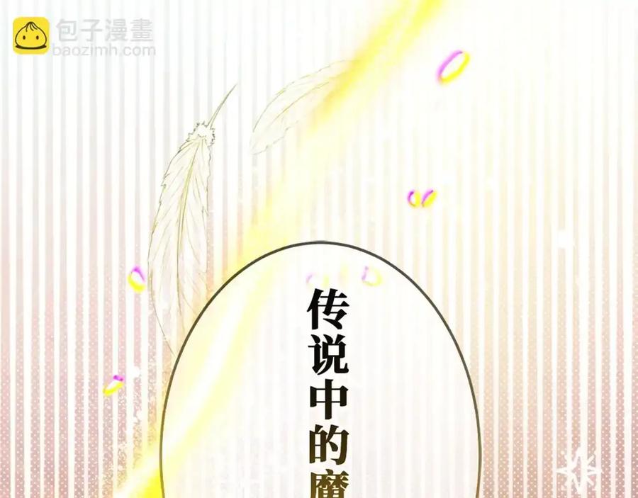 第244页