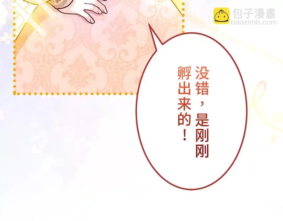 第203页