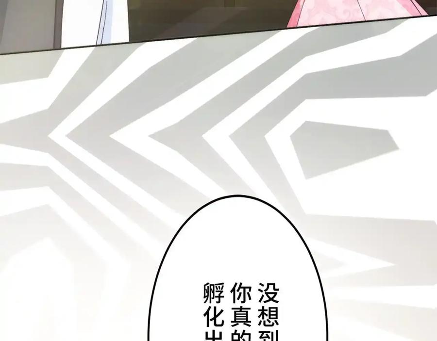 第216页