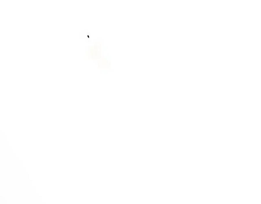 第196页