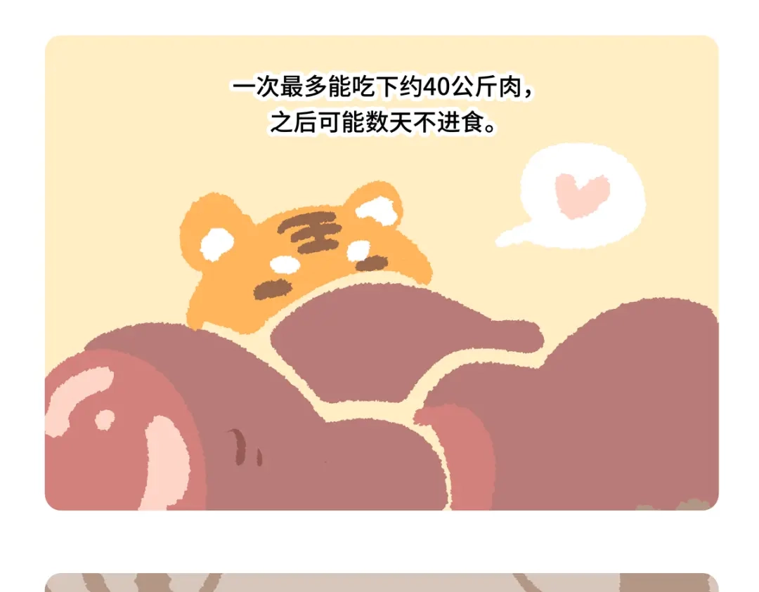 胖达x胖达 第二季第17话 第24页