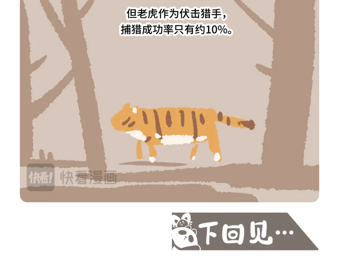 胖达x胖达 第二季第17话 第25页