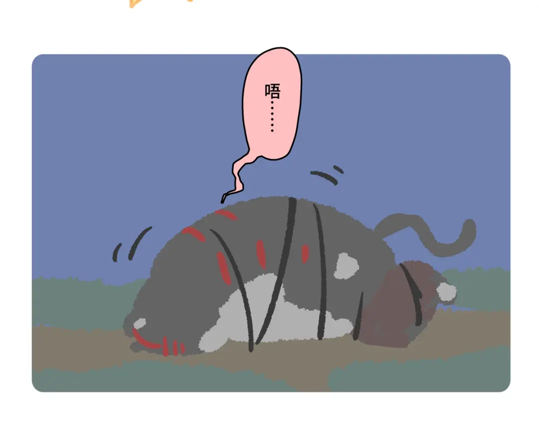 胖达x胖达 第二季第17话 第9页