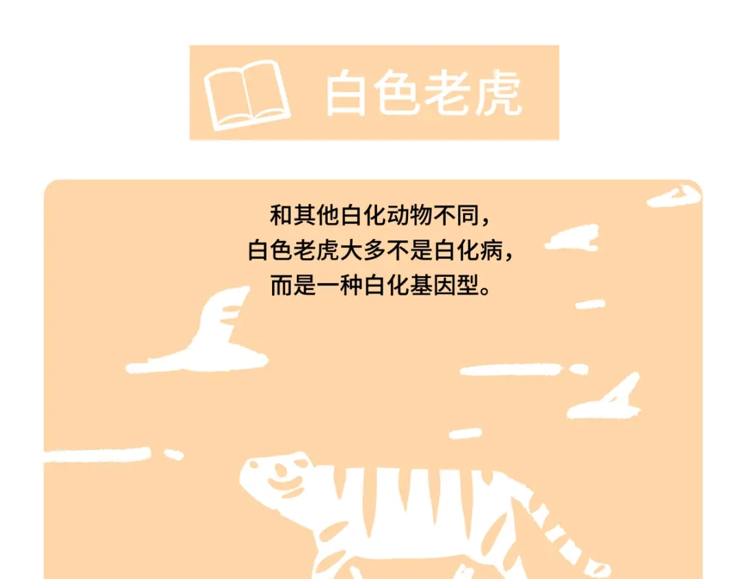 胖达x胖达 第二季第19话 第19页