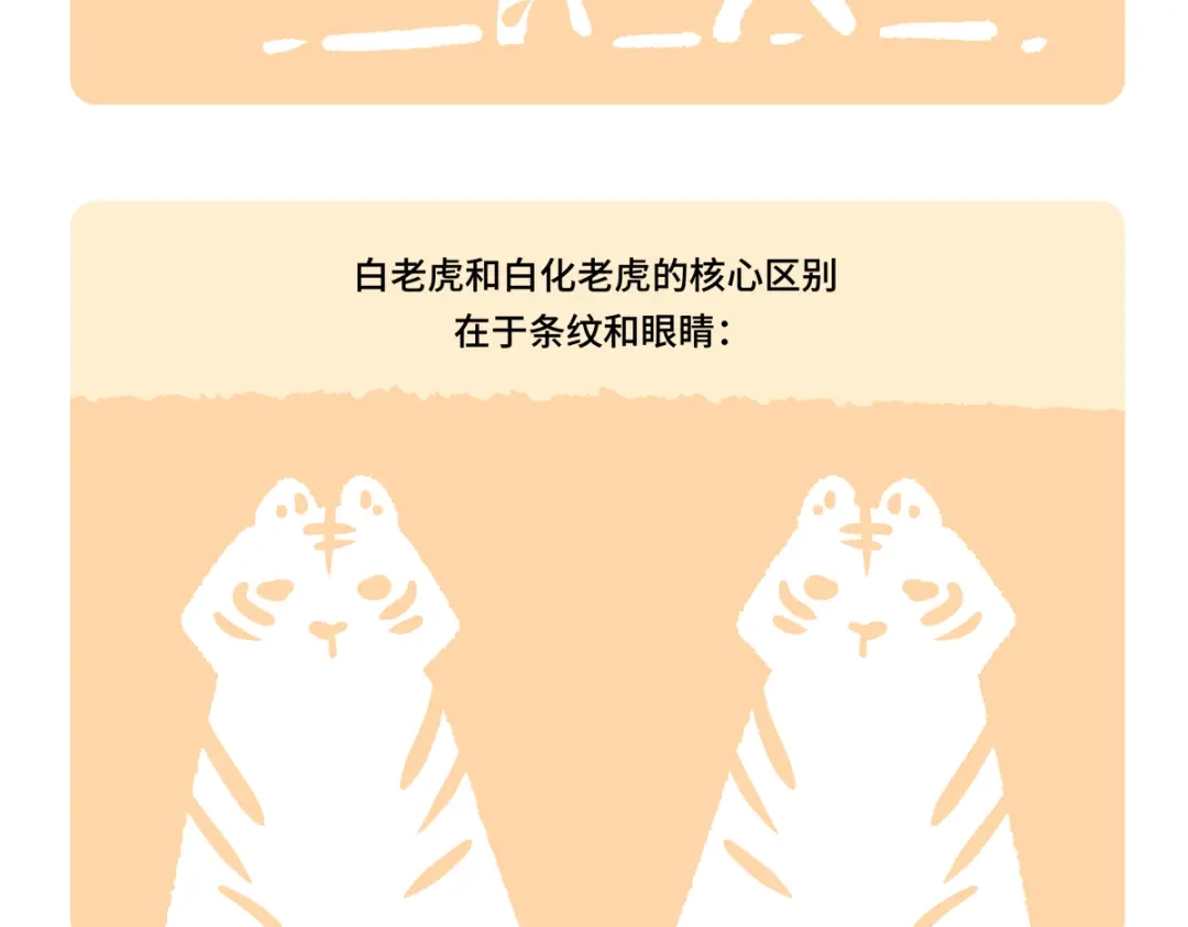 胖达x胖达 第二季第19话 第20页