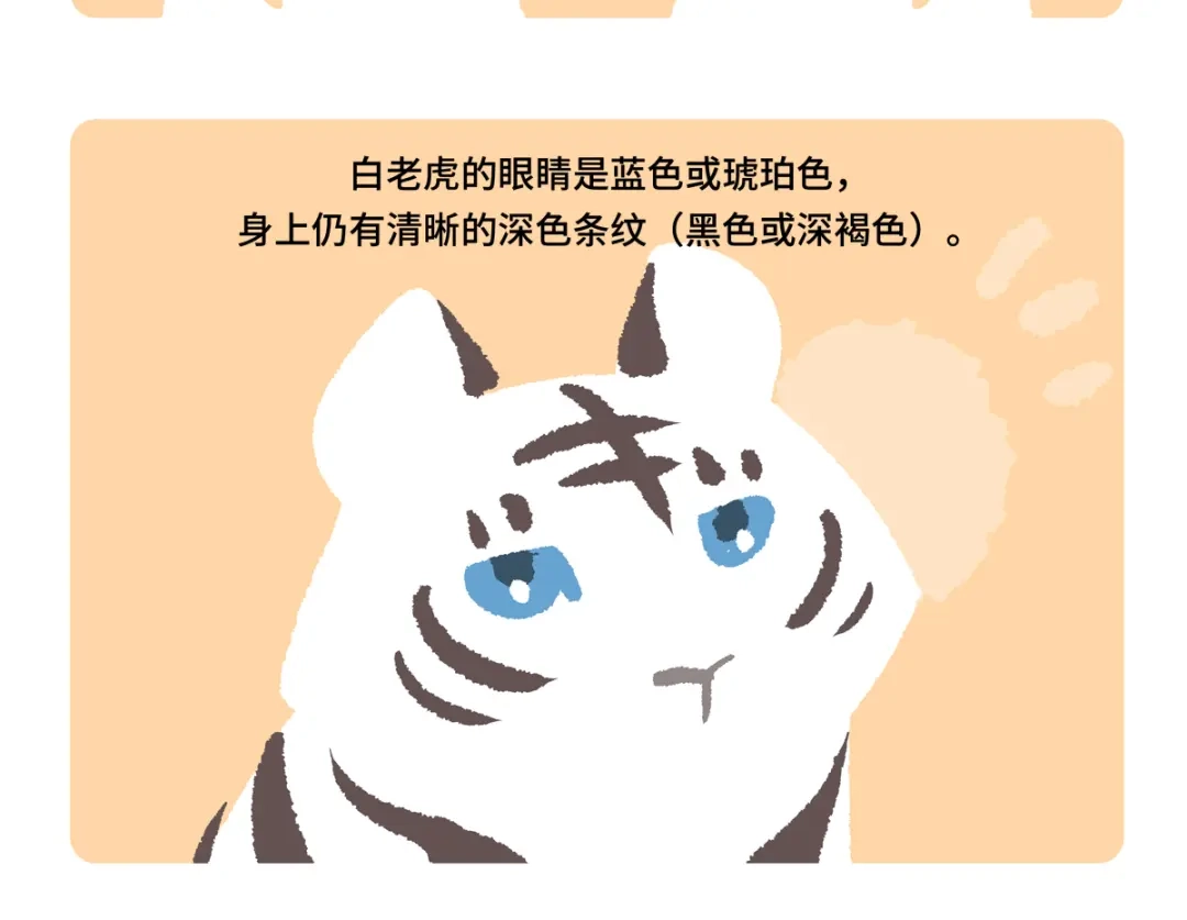 胖达x胖达 第二季第19话 第21页