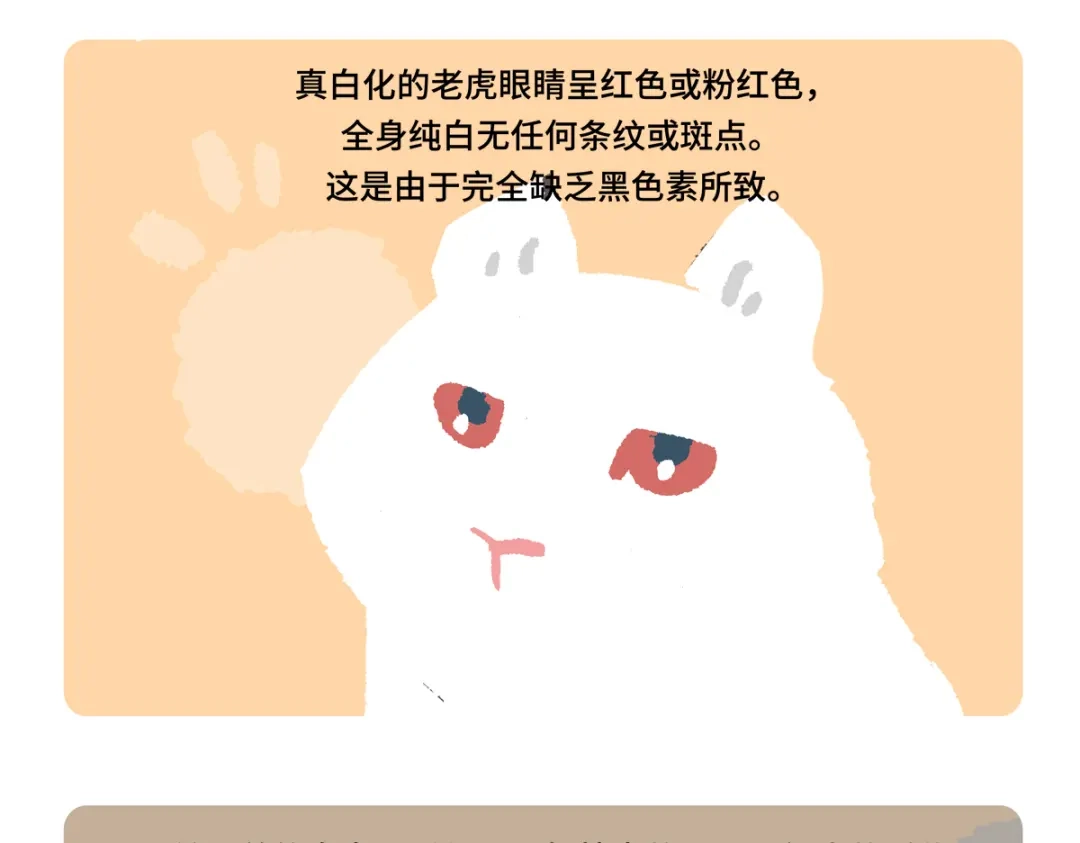 胖达x胖达 第二季第19话 第22页