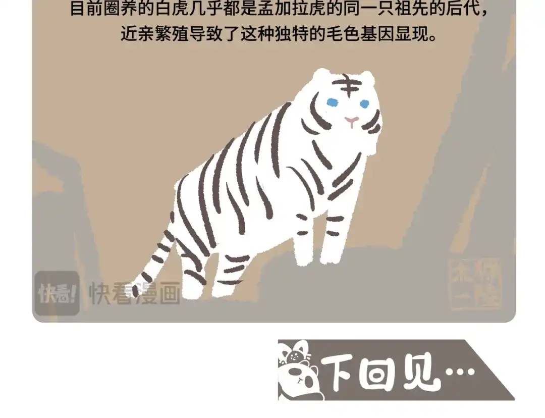胖达x胖达 第二季第19话 第23页