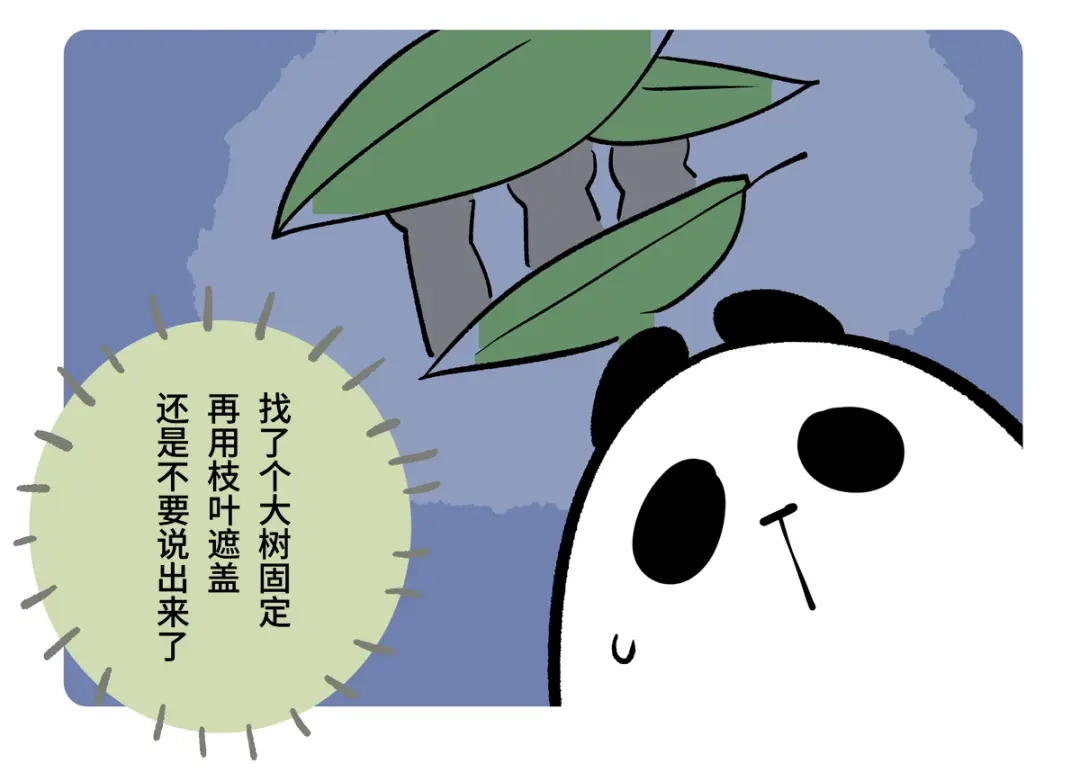 胖达x胖达 第二季第19话 第3页