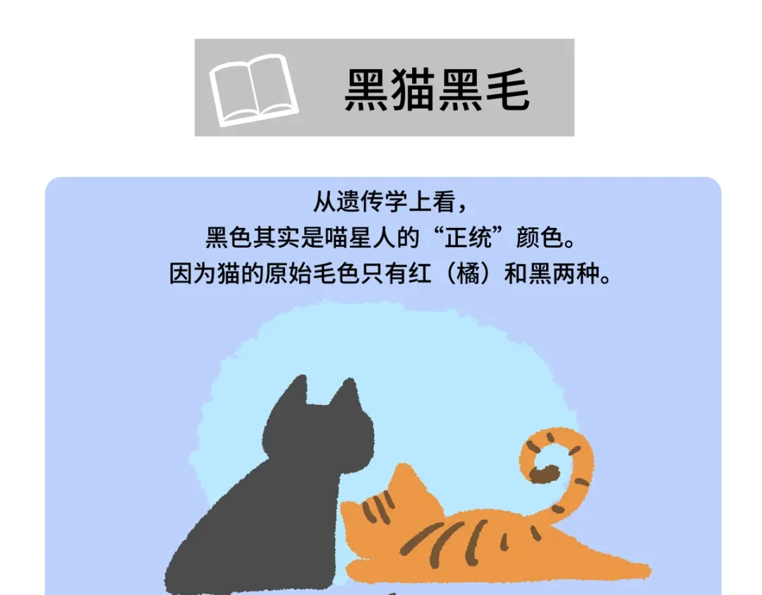 胖达x胖达 第二季第21话 第19页