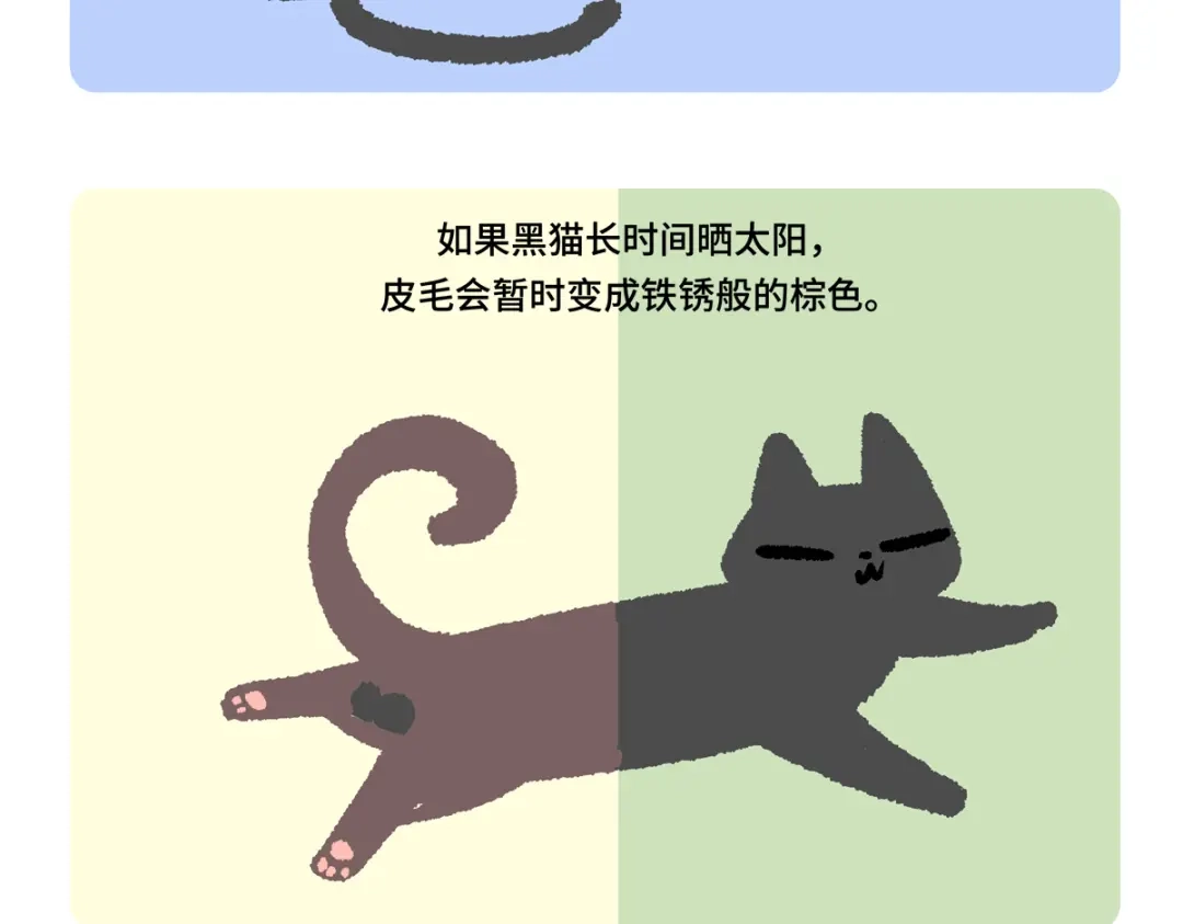 胖达x胖达 第二季第21话 第20页