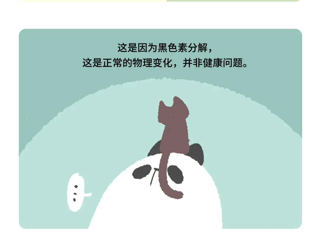 胖达x胖达 第二季第21话 第21页