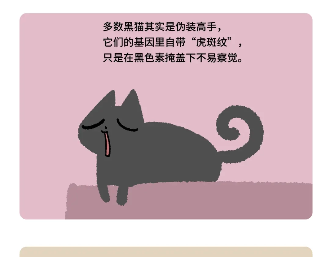 胖达x胖达 第二季第21话 第22页