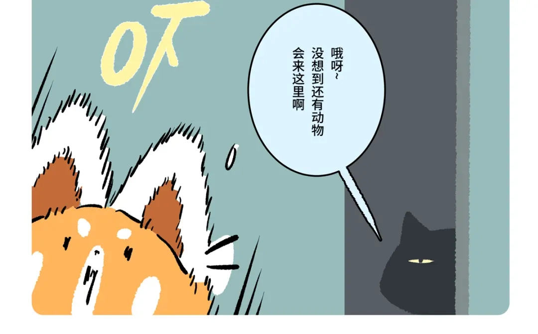 胖达x胖达 第二季第22话 第22页