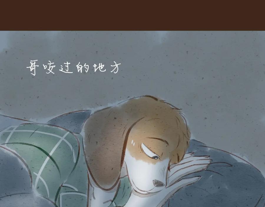 第135页