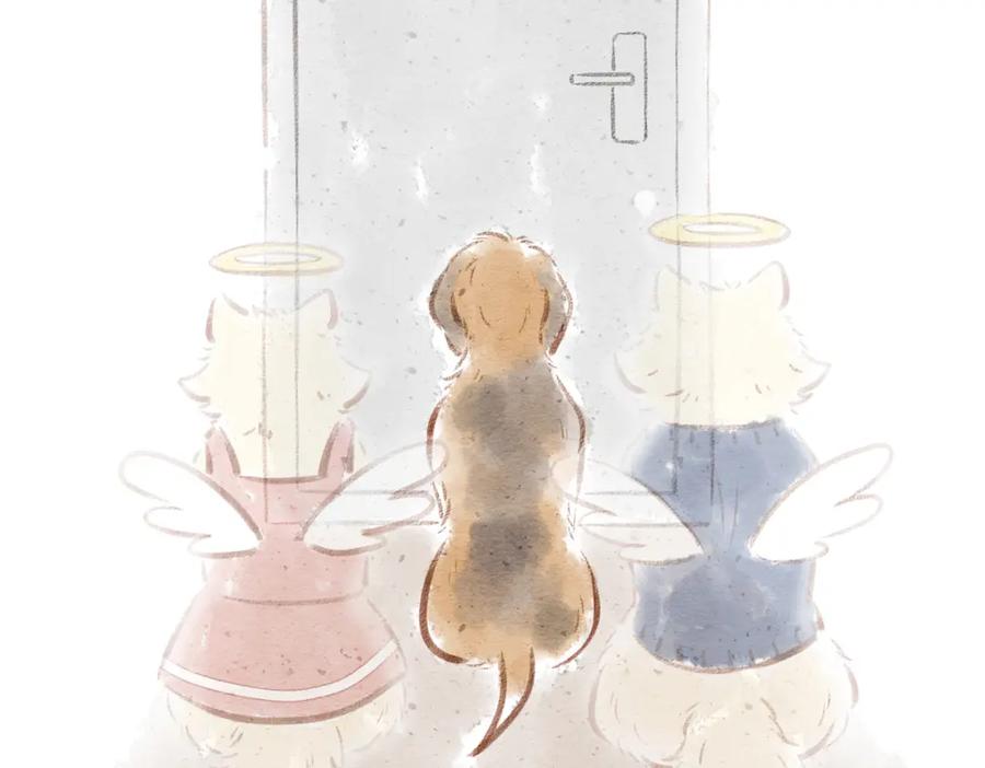 第138页