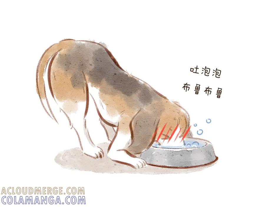 第177页
