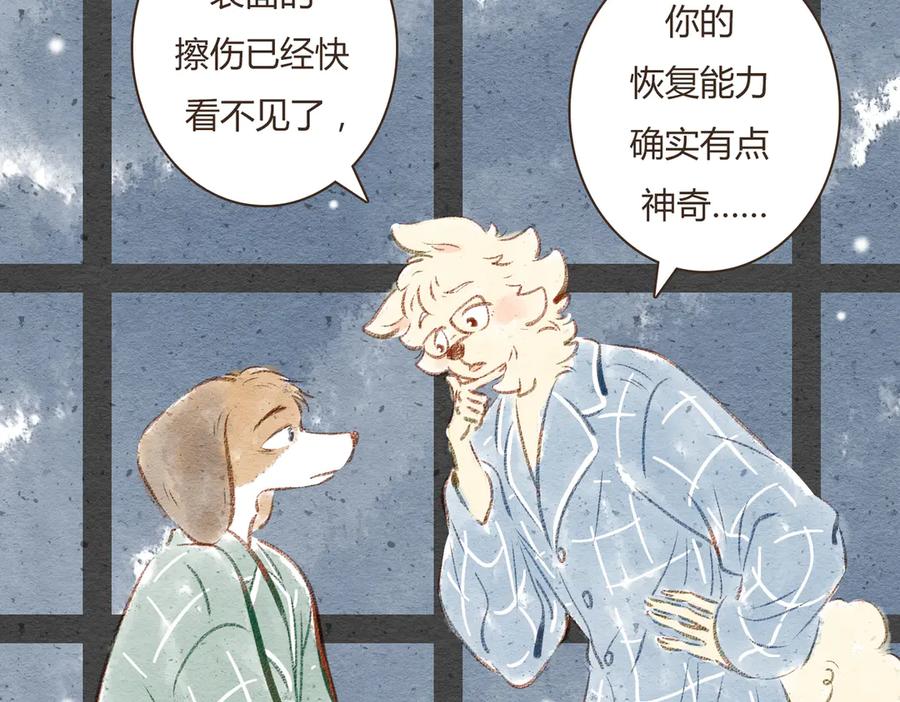 第146页