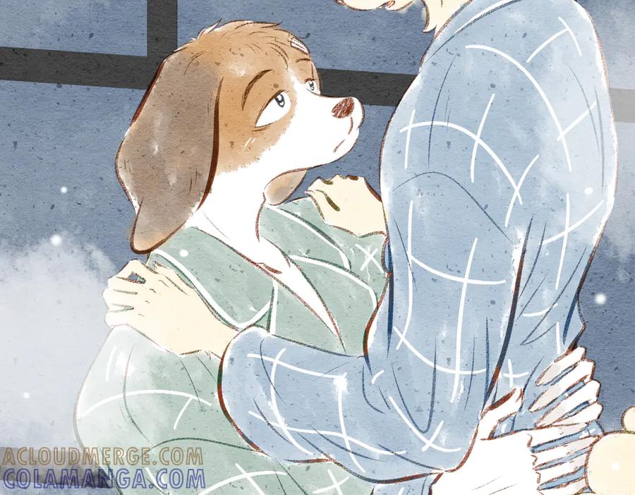 第161页