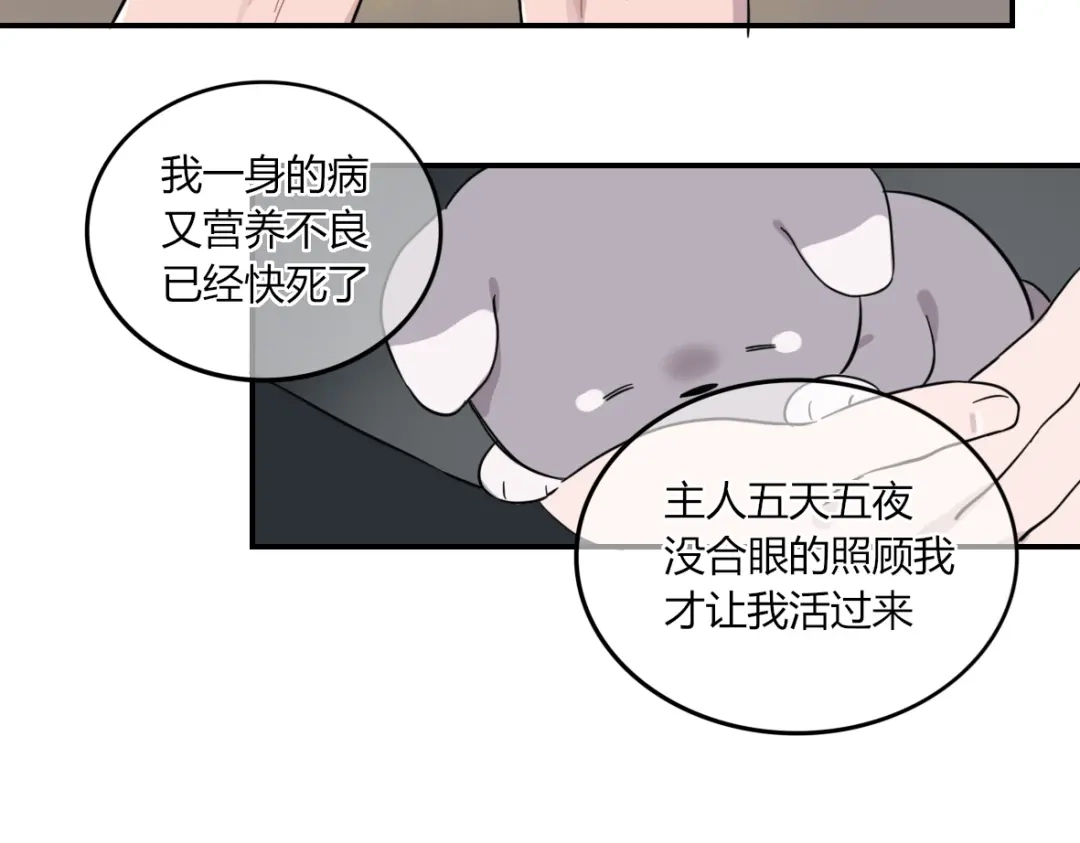 来一声Wang！ 第11话 汪汪！深夜谈话 第40页