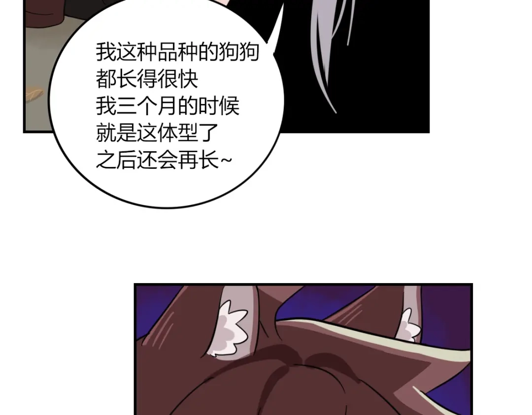 来一声Wang！ 第11话 汪汪！深夜谈话 第50页