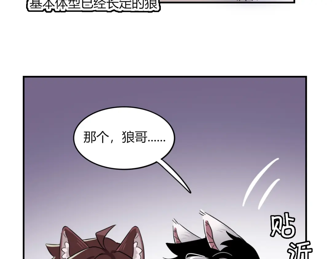 来一声Wang！ 第11话 汪汪！深夜谈话 第52页