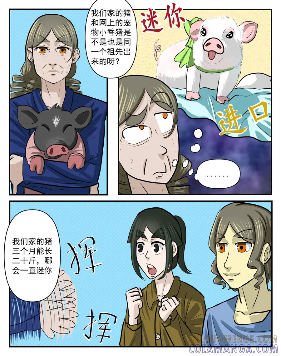 第40页