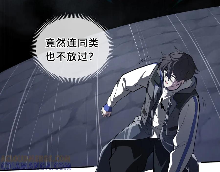 第205页